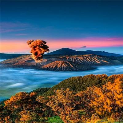 百度心动庄园2最新版下载